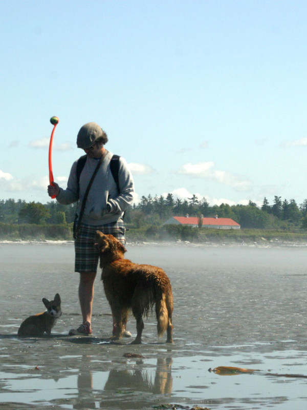 traveling with dogs