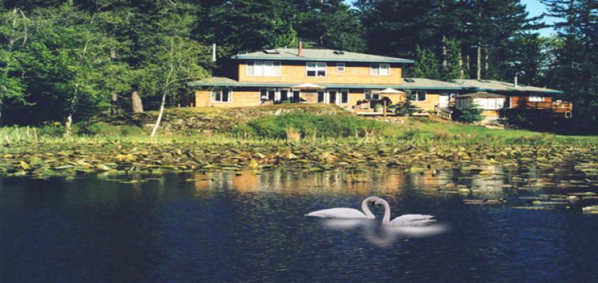 otters pond